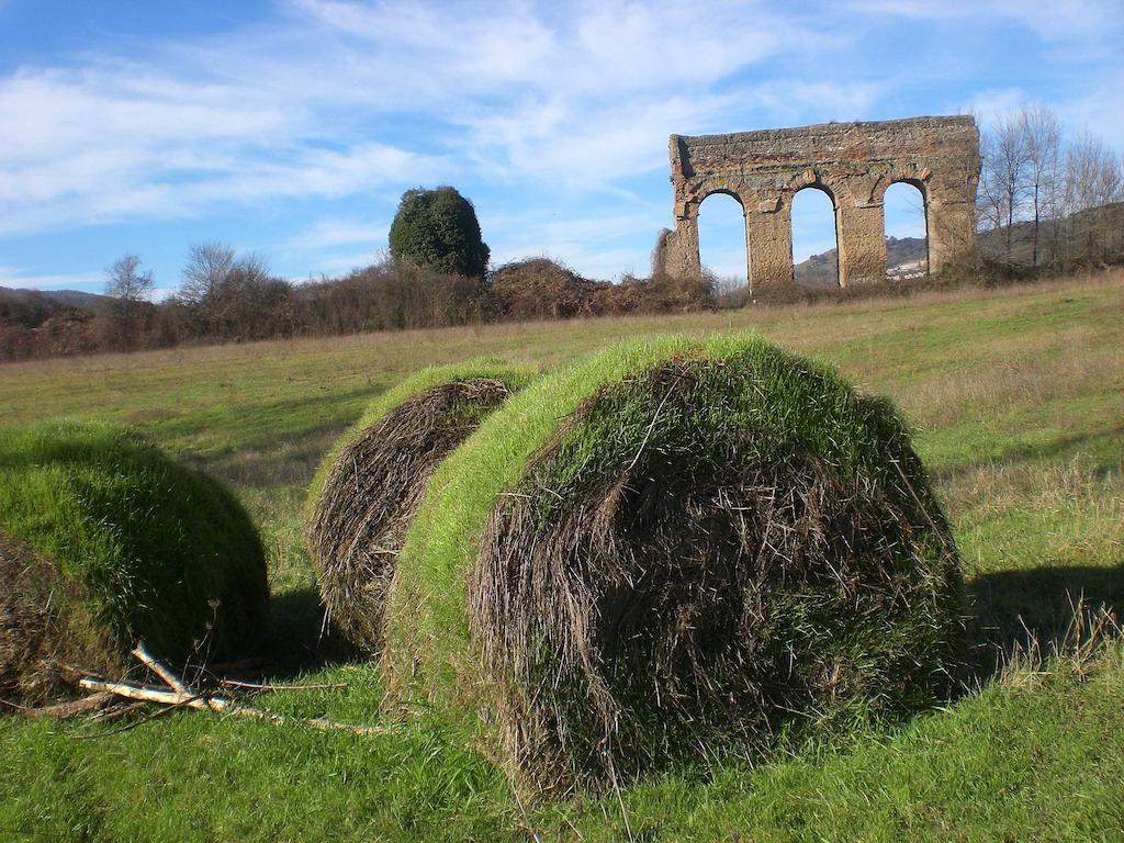 Valle Degli Arci Castel Madama エクステリア 写真